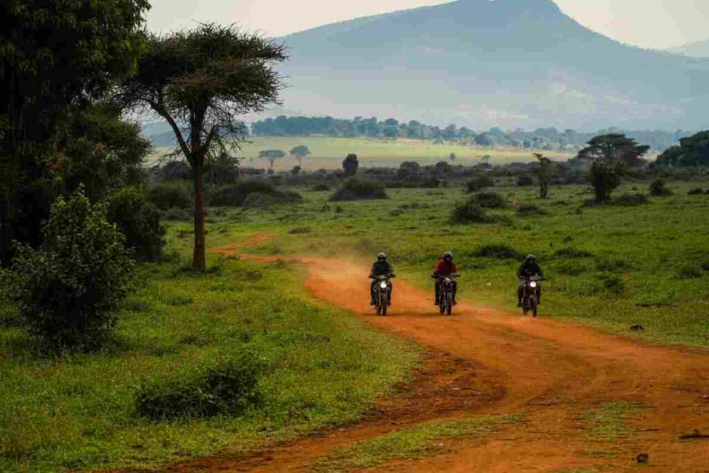 8384_1_uganda-ilcorrieredisicilia.it