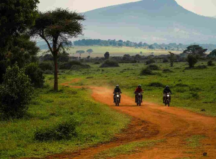 8384_1_uganda-ilcorrieredisicilia.it