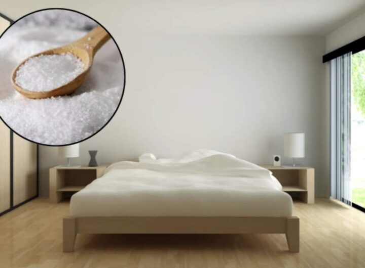 In un’epoca dominata da deumidificatori tecnologici e prodotti chimici, il sale grosso rappresenta un utile alleato contro l’umidità