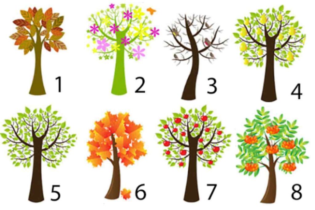 Test dell'albero