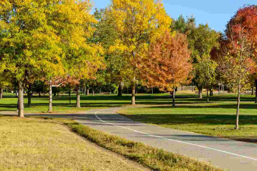 parco scatta allerta