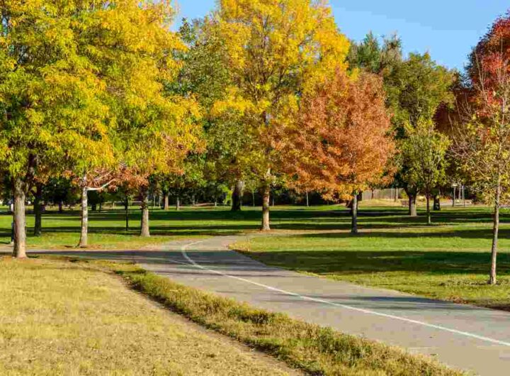 parco scatta allerta